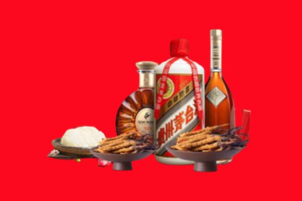 饶平县虫草回收