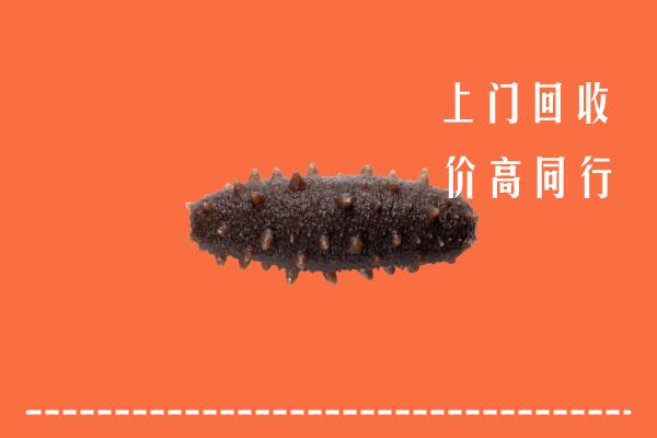 饶平县回收海参