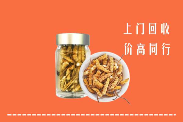 饶平县回收冬虫夏草