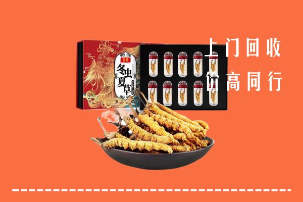 饶平县回收虫草
